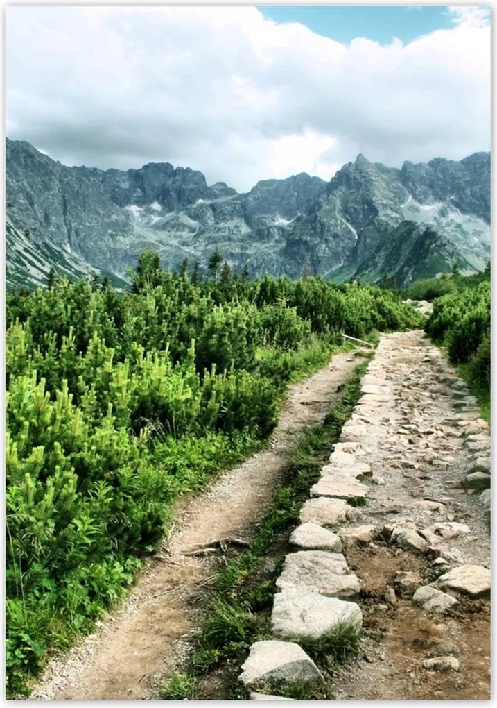 Plakátok 70x100 Sziklás út a Tátrában