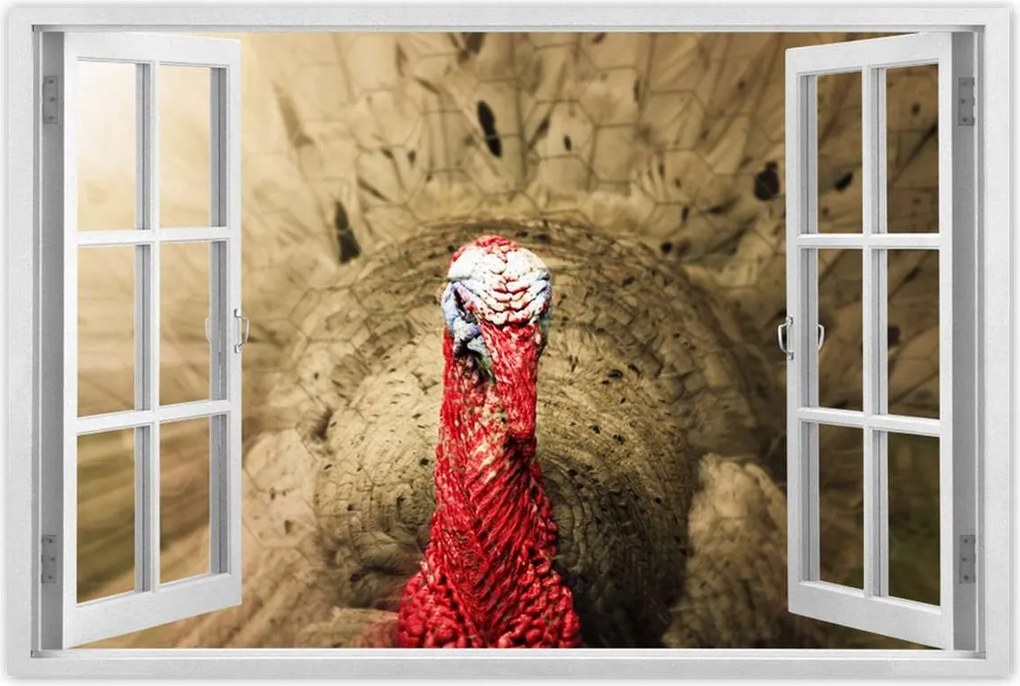 Poszterek 90x60 Pulyka ünnep Usa