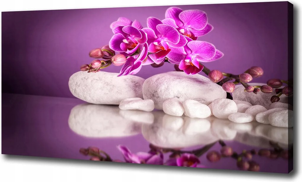 Vászonkép Rózsaszín orchidea 120x60 cm