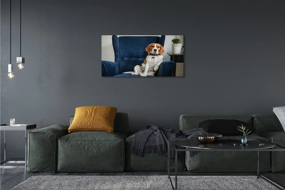 Canvas képek ül kutya 120x60 cm