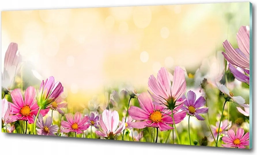 Fotó üvegkép Cseppek a fűben 125x50