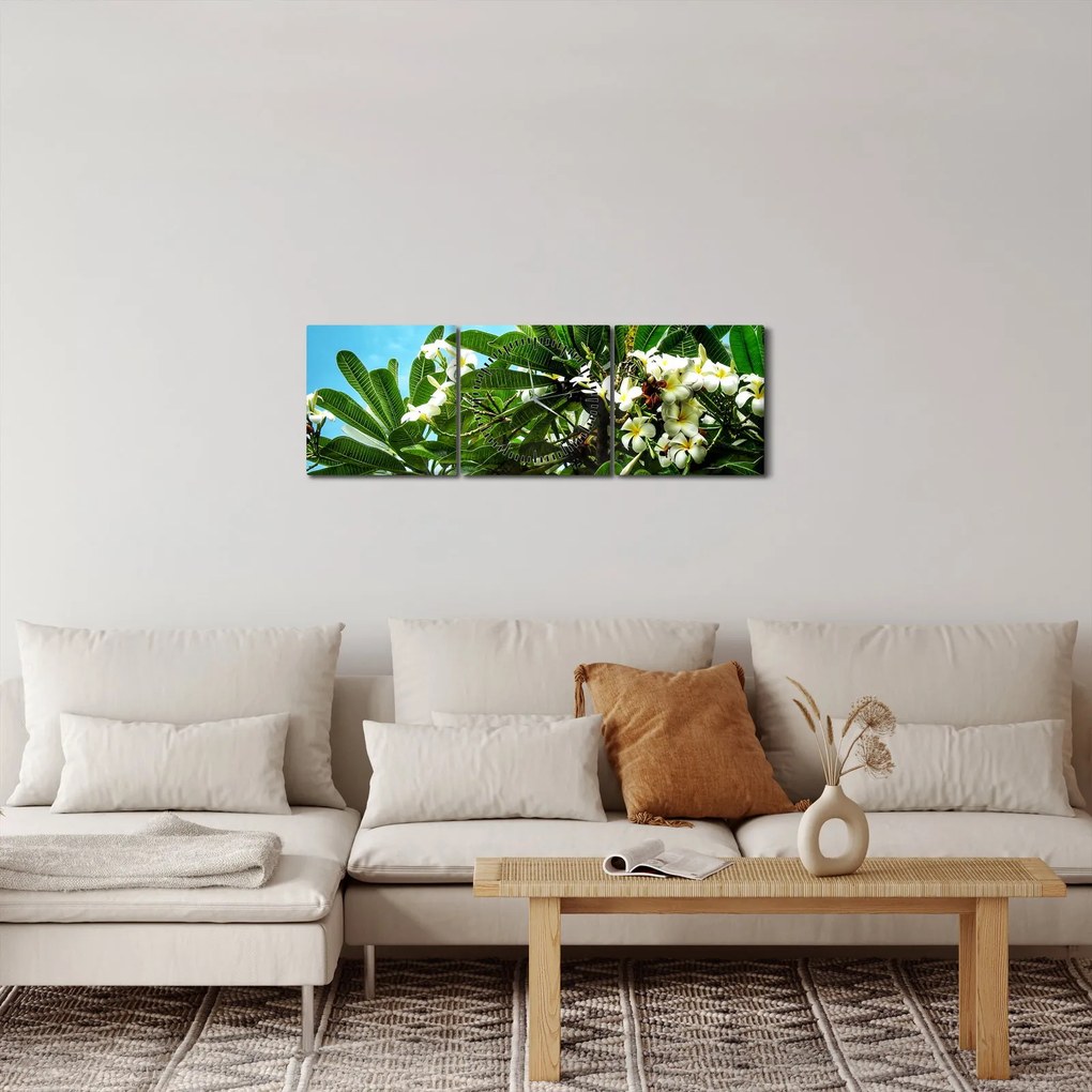 Kép - Plumeria (órával) (90x30 cm)