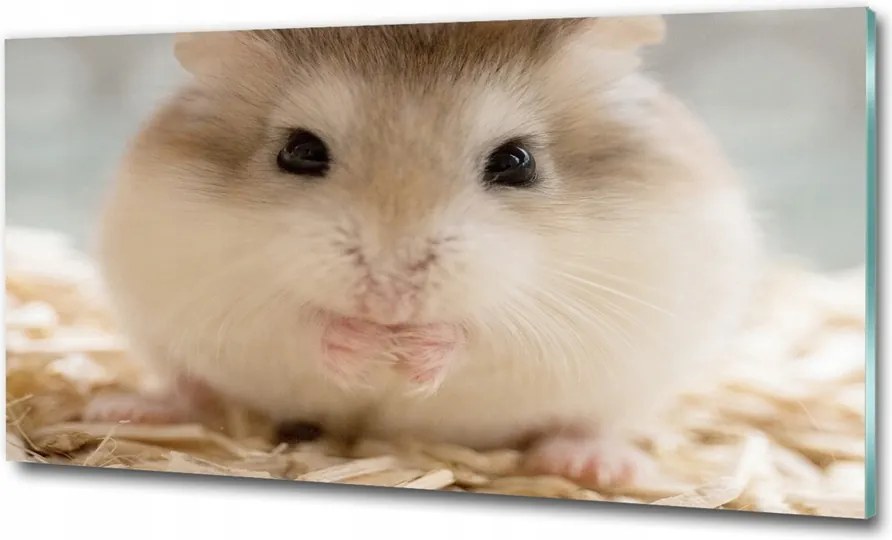 Fotó-kép fotó edzett üveg Hörcsög 125x50