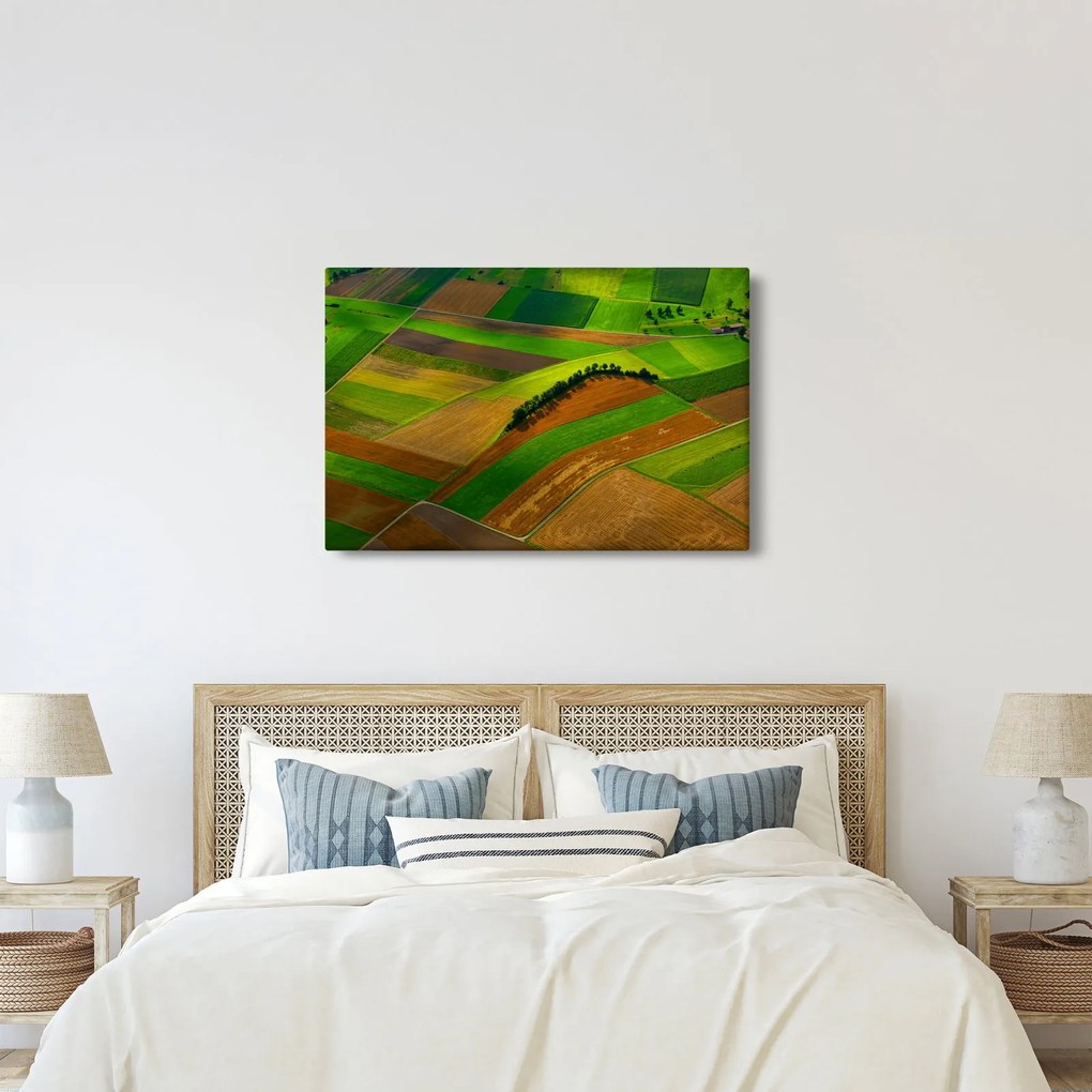 Kép - Mezők, rétek (90x60 cm)