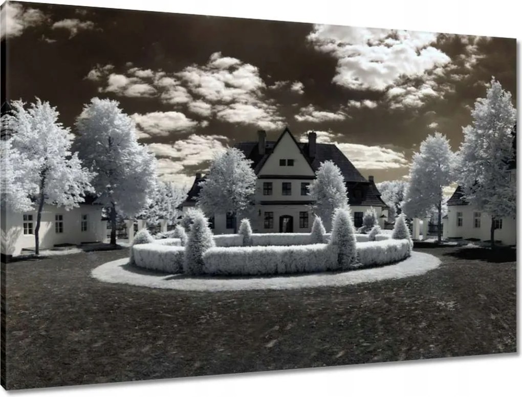 Vászonkép 90x60 Ir infravörös kép