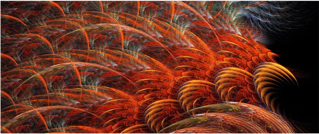Kép - Absztrakt toll utánzat (120x50 cm)
