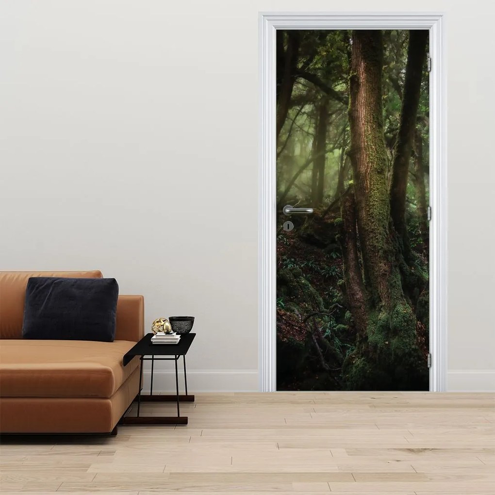 Fotótapéta ajtóra - Titokzatos erdő (95x205cm)