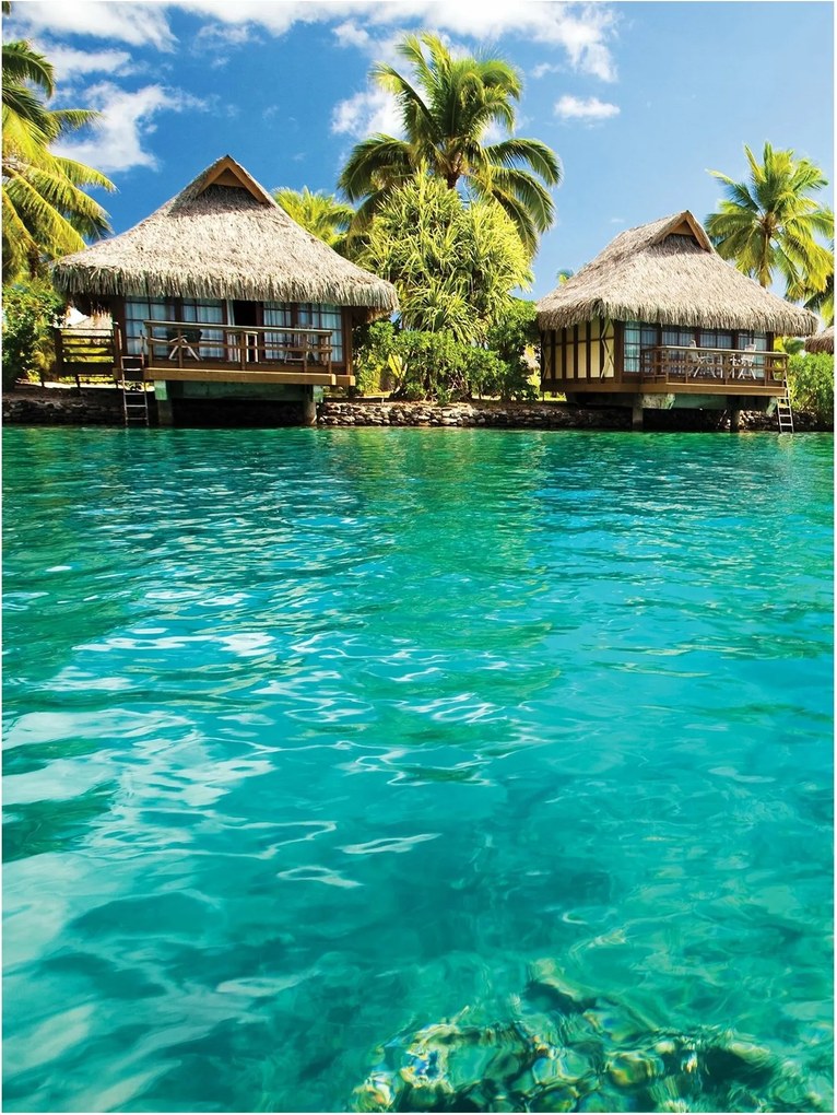 Fotótapéta tenger tengerpart óceán fotótapéta 184 x 254