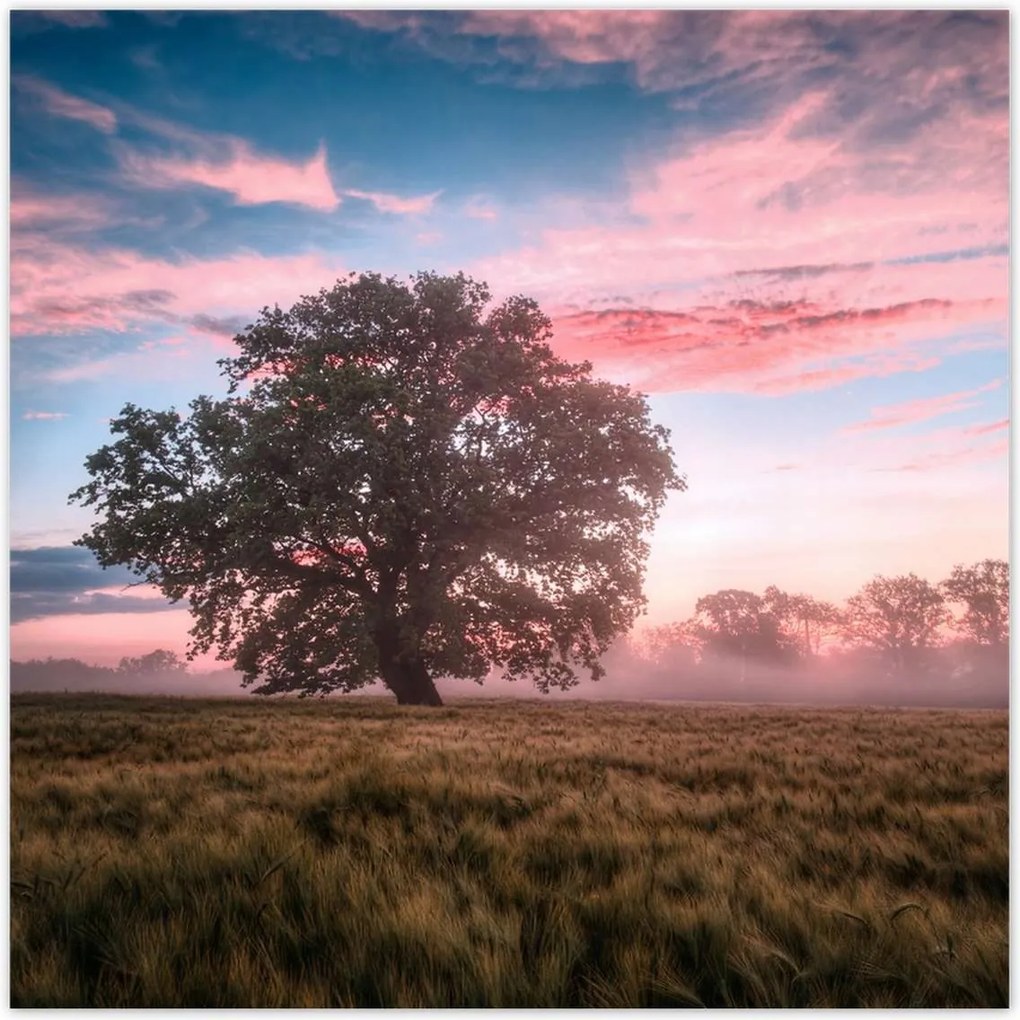 Poszterek 100x100 Candy Landscape