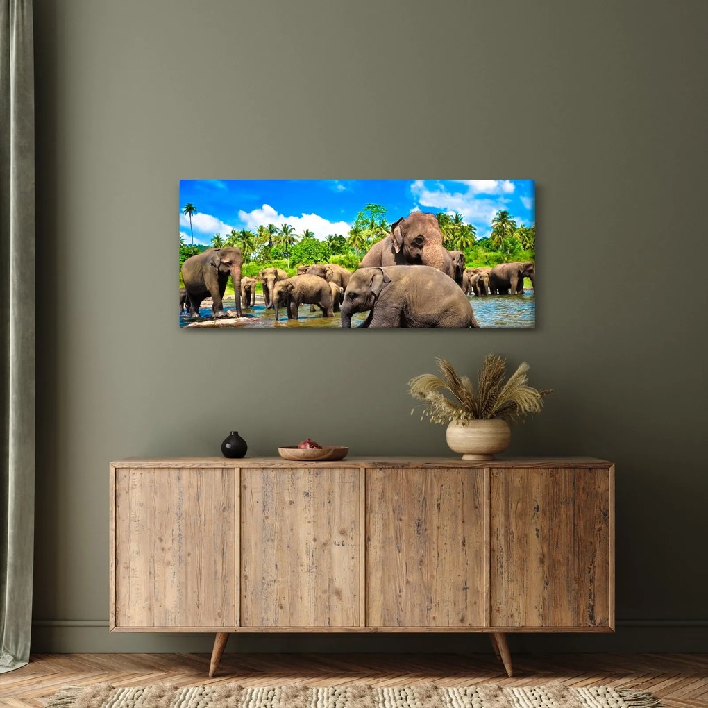 Kép - Elefántok, Sri Lanka (120x50 cm)