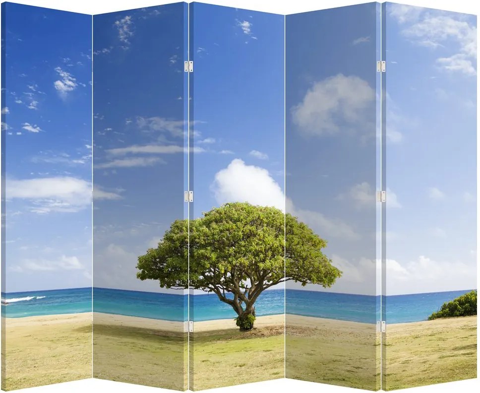 Paraván - Fa a tengerparton (210x170 cm)