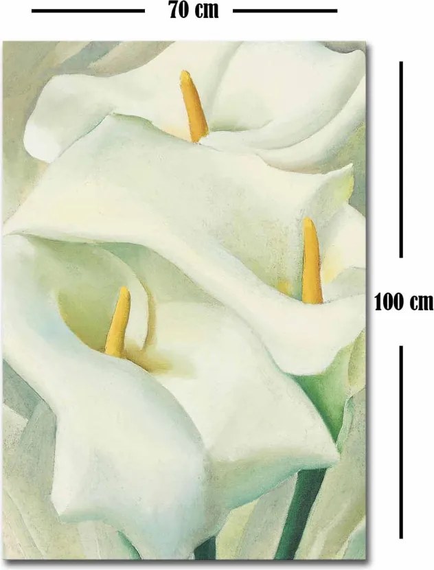 Vászonkép, 70×100 cm – 70100FAMOUSART-057