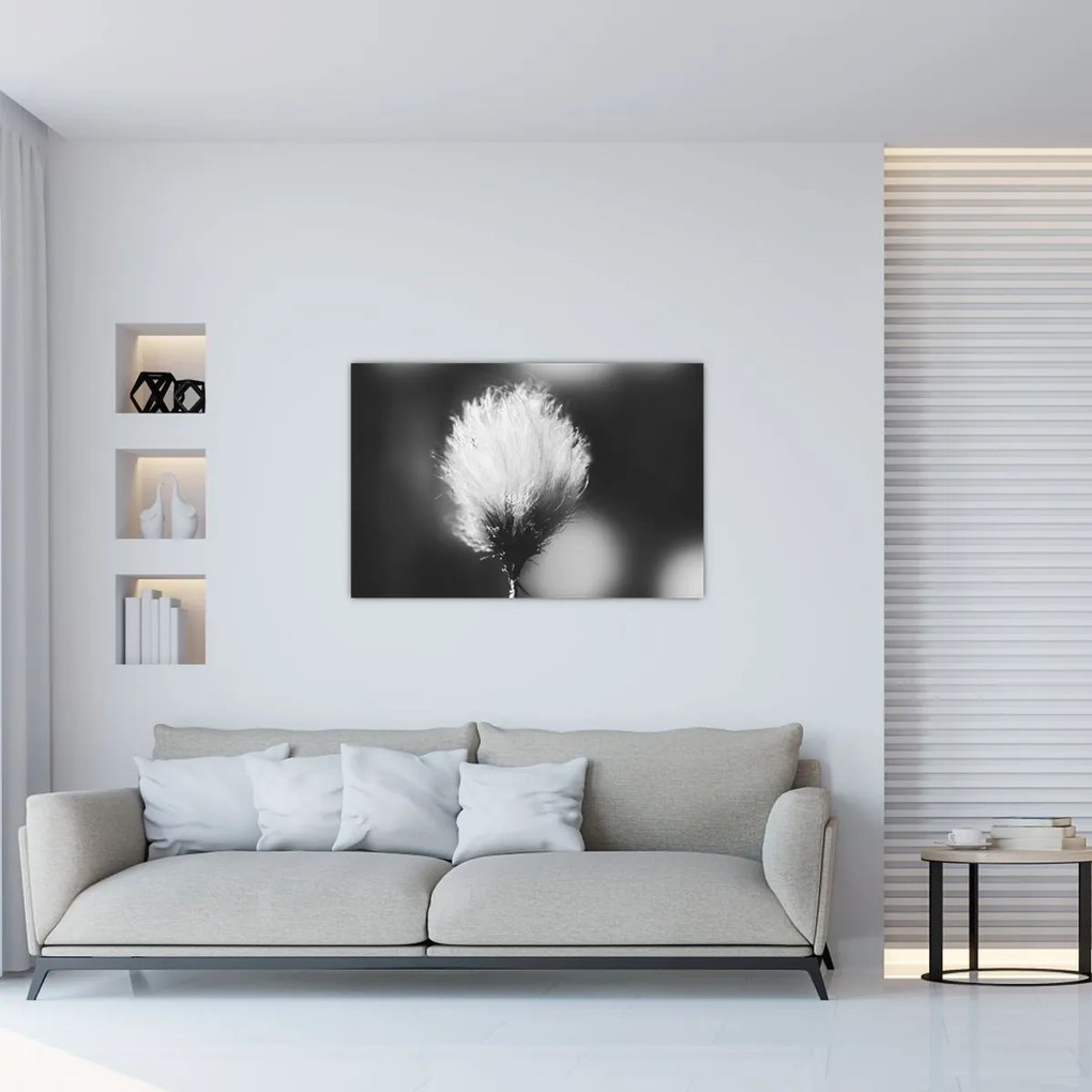 Kép - Fekete-fehér pamutfű (90x60 cm)