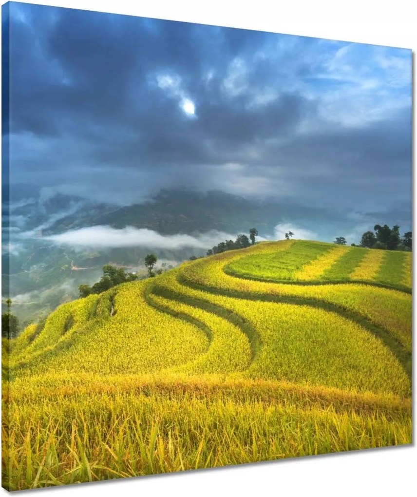 Vászonkép 50x50 Kilátás Tájkép