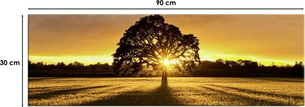 Vászonkép, 30×90 cm – 3090DACT-68