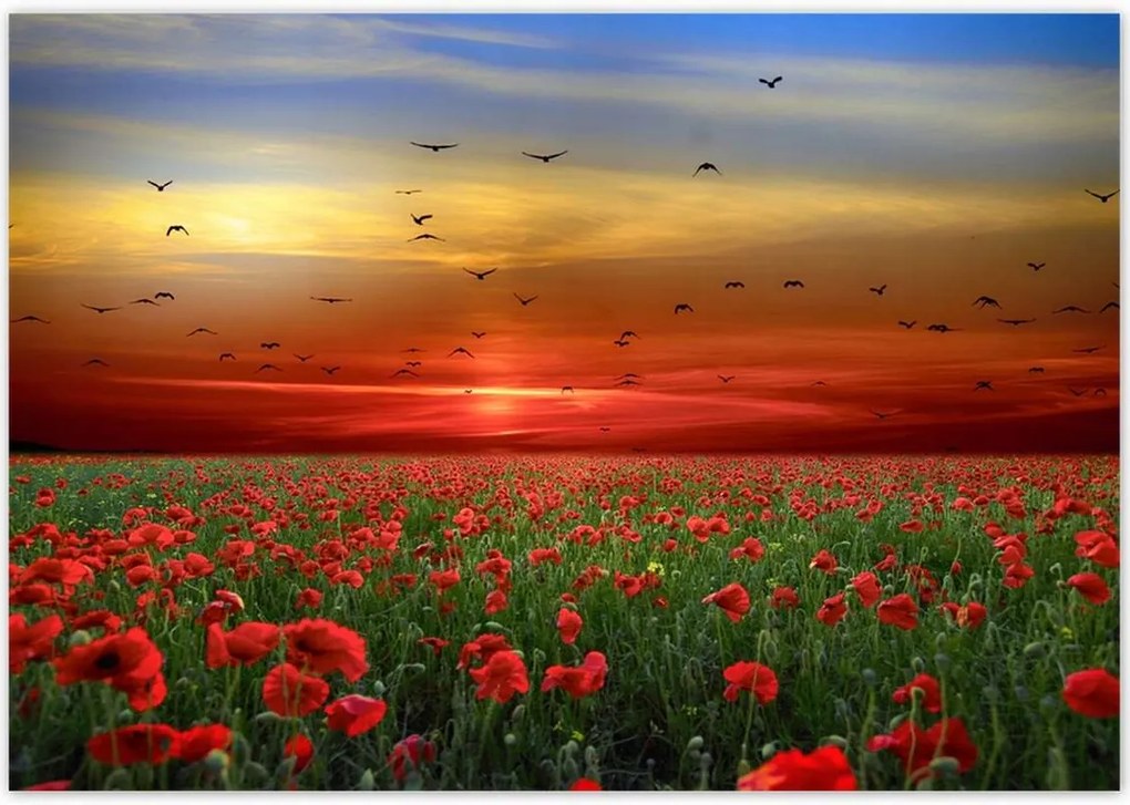 Poszterek 100x70 Tájkép Látvány