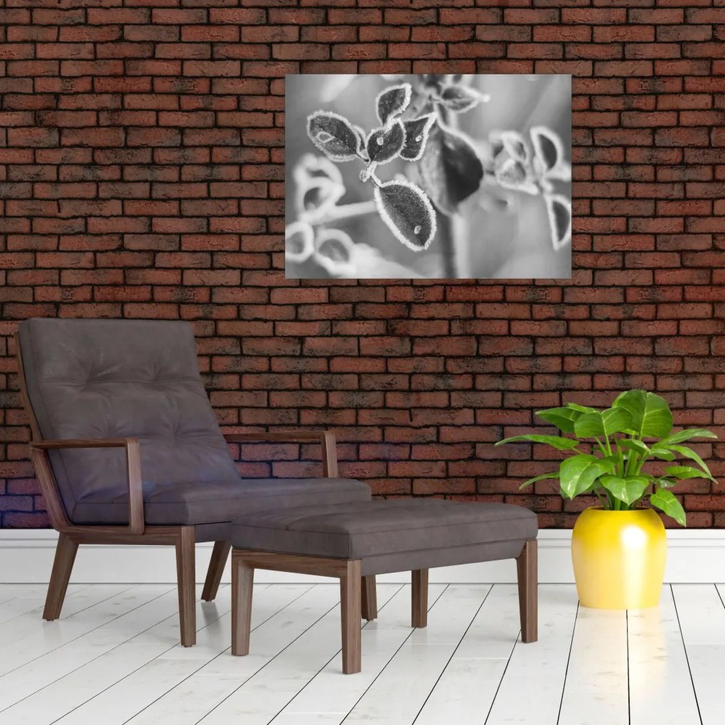 Üveg kép - Őszi természet (70x50 cm)
