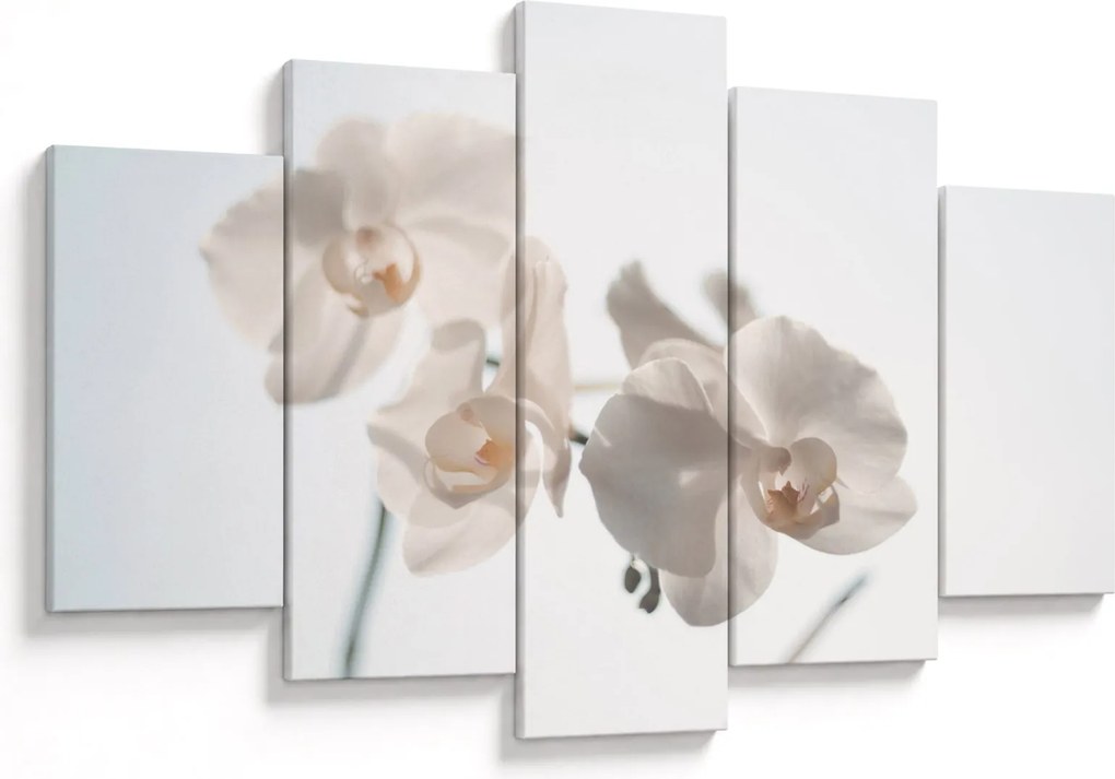 Fehér orchidea képe (150x105 cm)