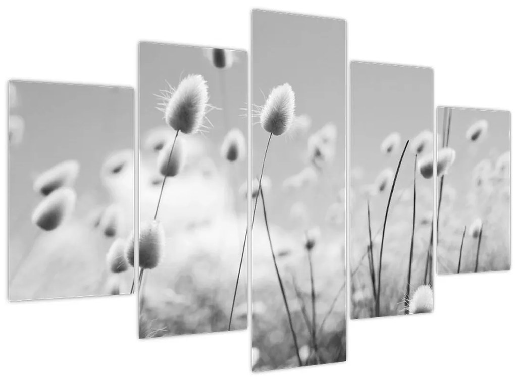 Kép - Boho nyuszi farok fű (150x105 cm)