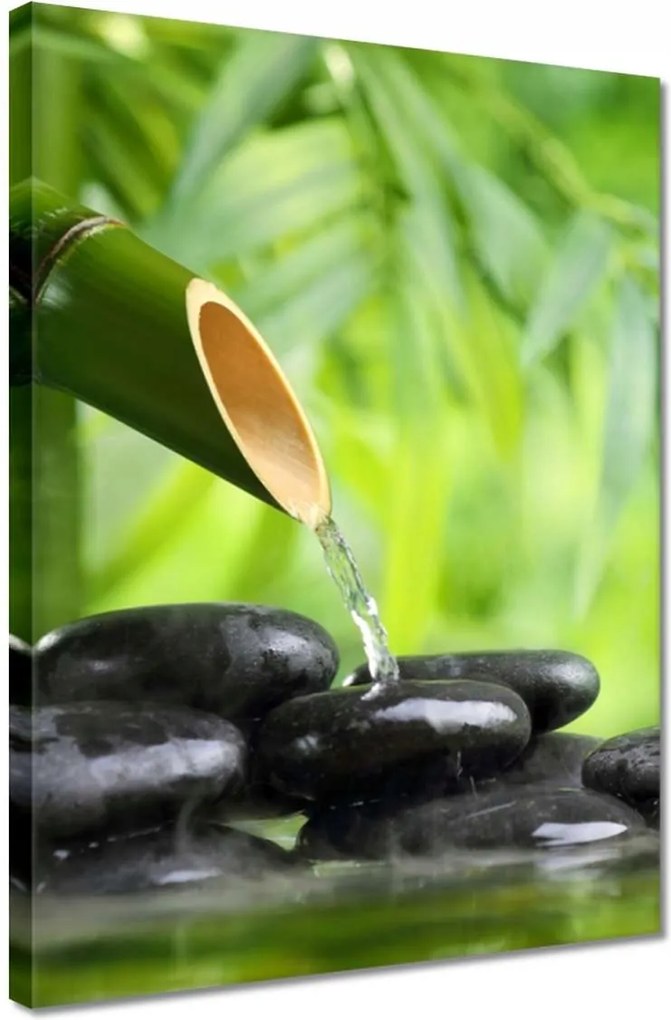 Vászonkép 30x40 Sanus per aquam Forrás