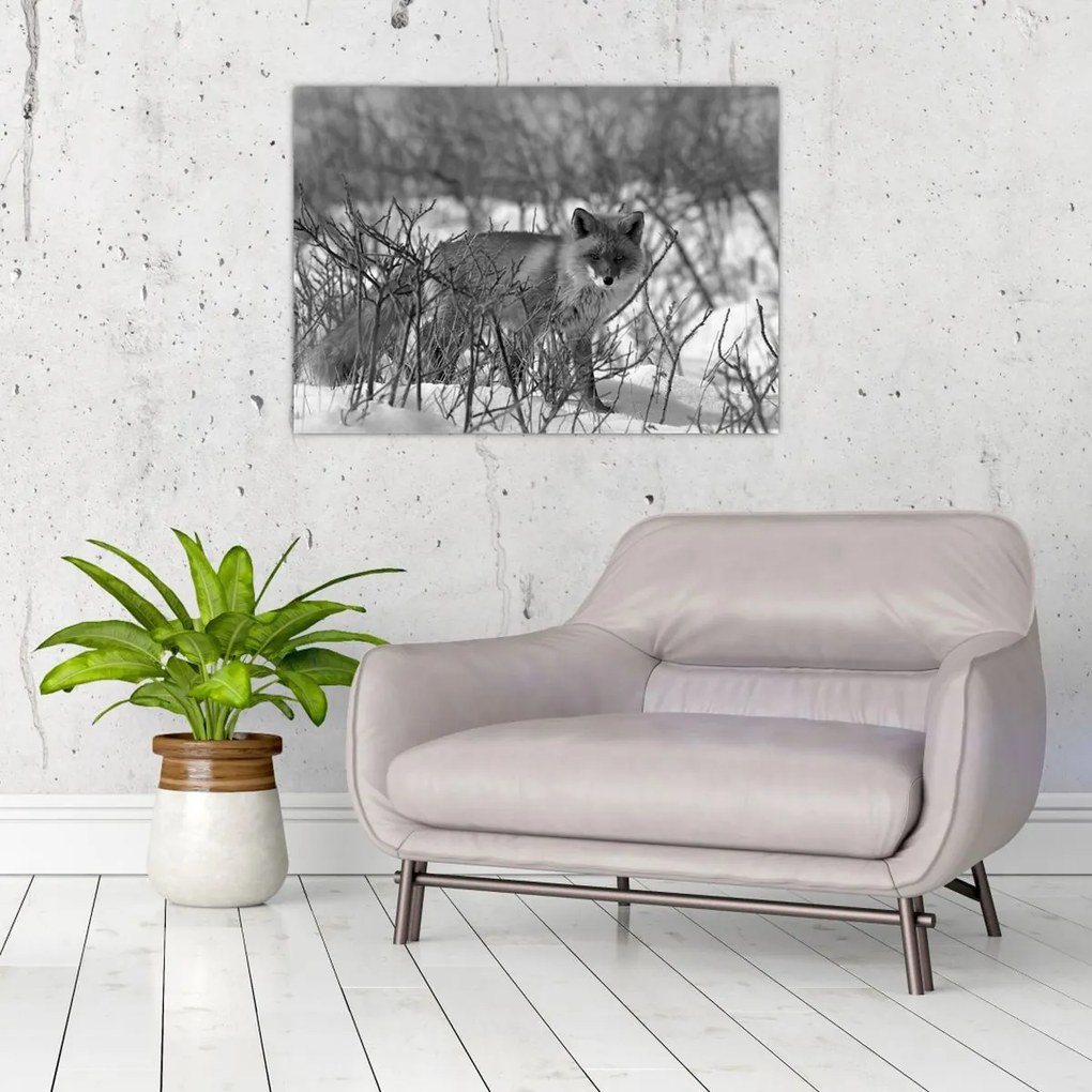 Üveg kép - Róka télen (70x50 cm)