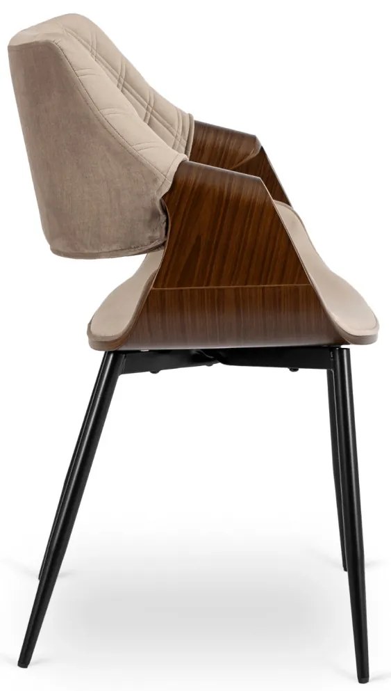 Elegáns Bársony Étkezőszék Bézs/Dió Színben. DAKOTA