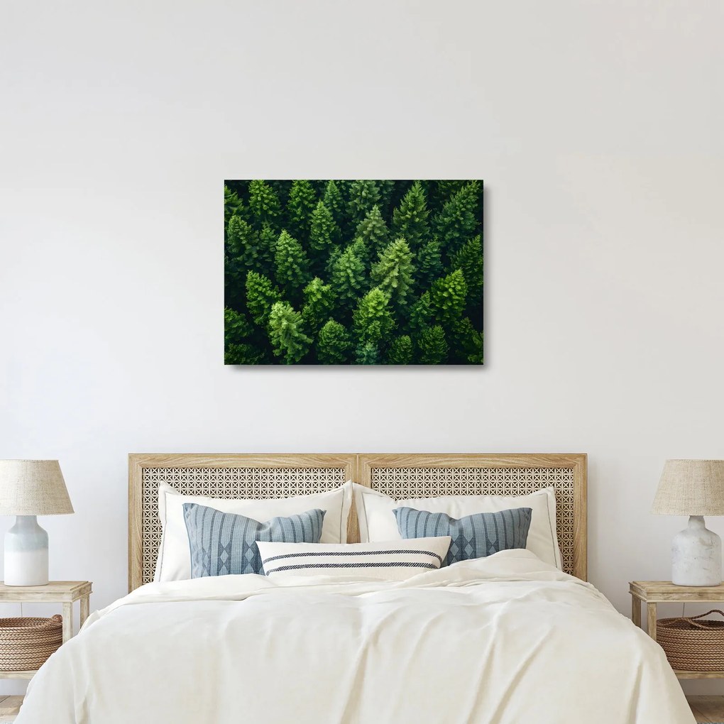 Üveg kép - Forest (70x50 cm)