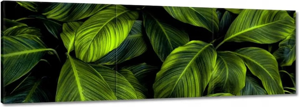 Vászonkép 120x40 Gyönyörű zöld levelek