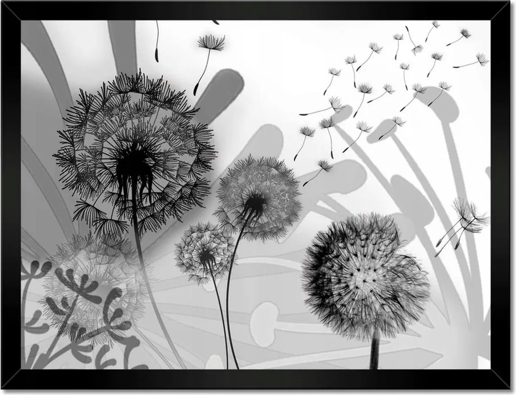 Poszterek keretben 40x30 Pitypang B&amp;w