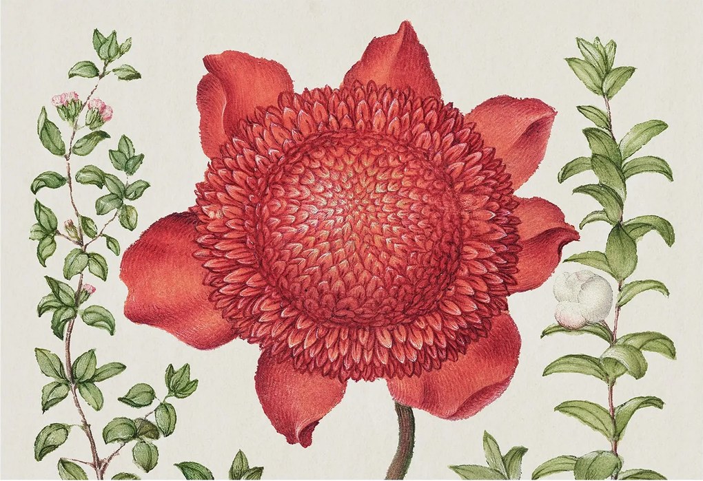 Flizelin Dekoratív fotótapéta Hálószobába Virágos elegancia 152x104