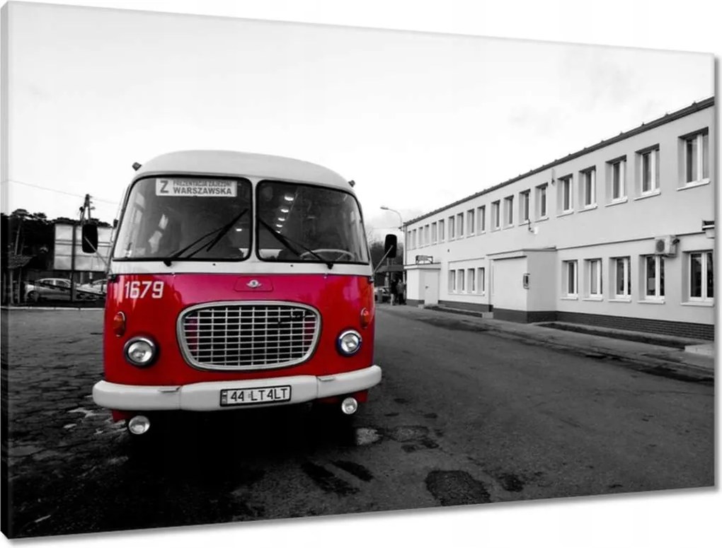 Vászonkép 90x60 Vörös szarvas uborka