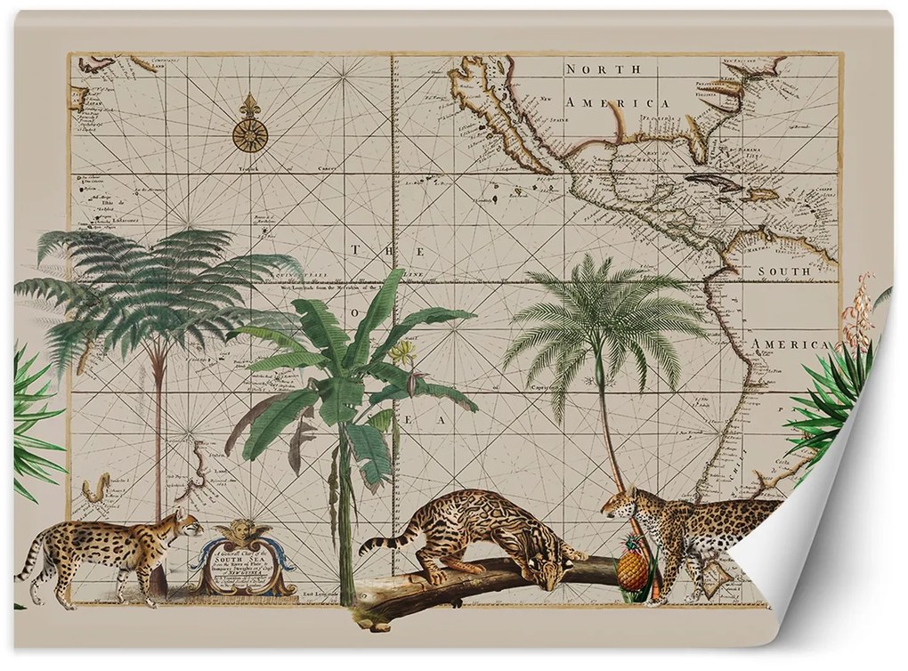 Gario Fotótapéta Ragadozó macskák - Andrea Haase Anyag: Vlies, Méret: 400 x 280 cm