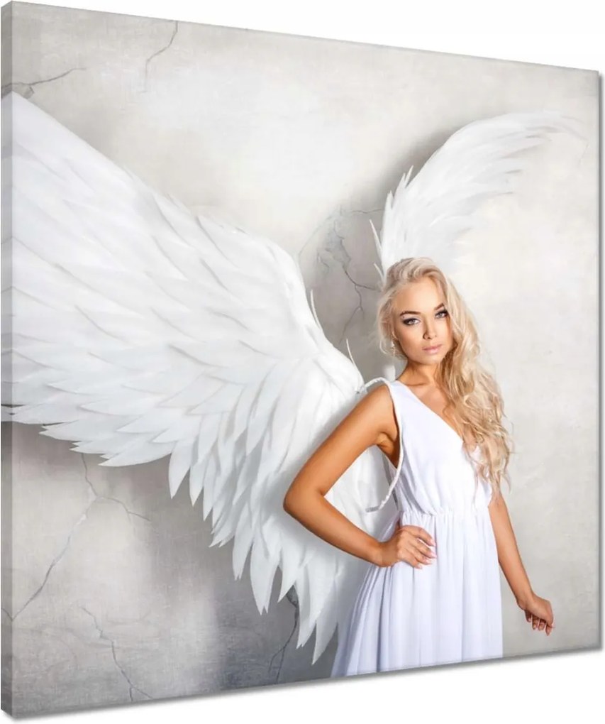 Vászonkép 50x50 Angyalszőke