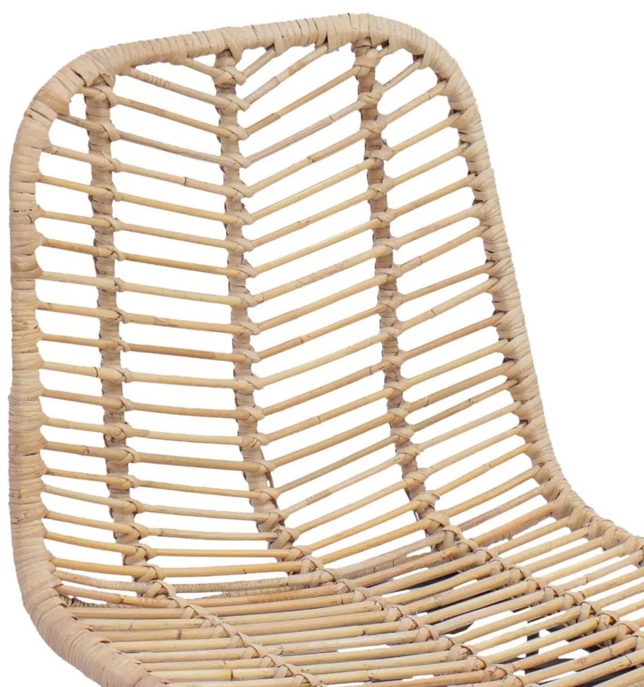 Bárszék 2 pcs Természetes 44,5 x 53 x 111 cm Rattan és Vas