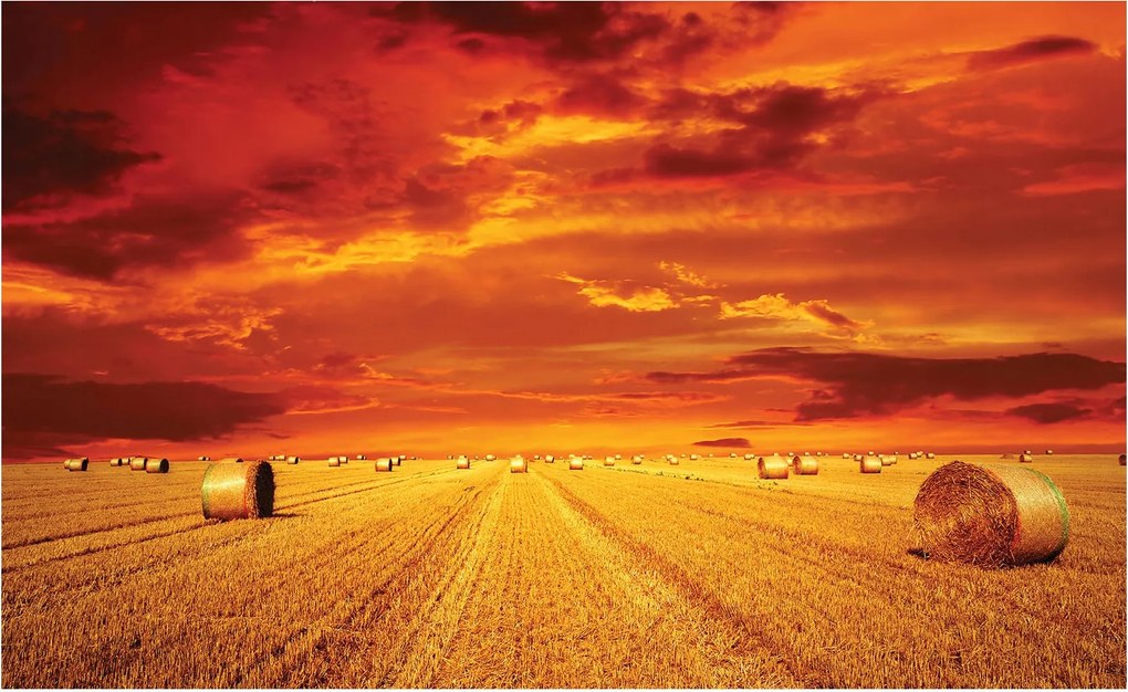 Fotótapéta Naplemente a mező felett Arany széna kévék 350x250 +ragasztó