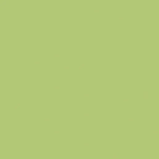 Burkolat Rako Color One light green 20x20 cm matt WAA1N465.1