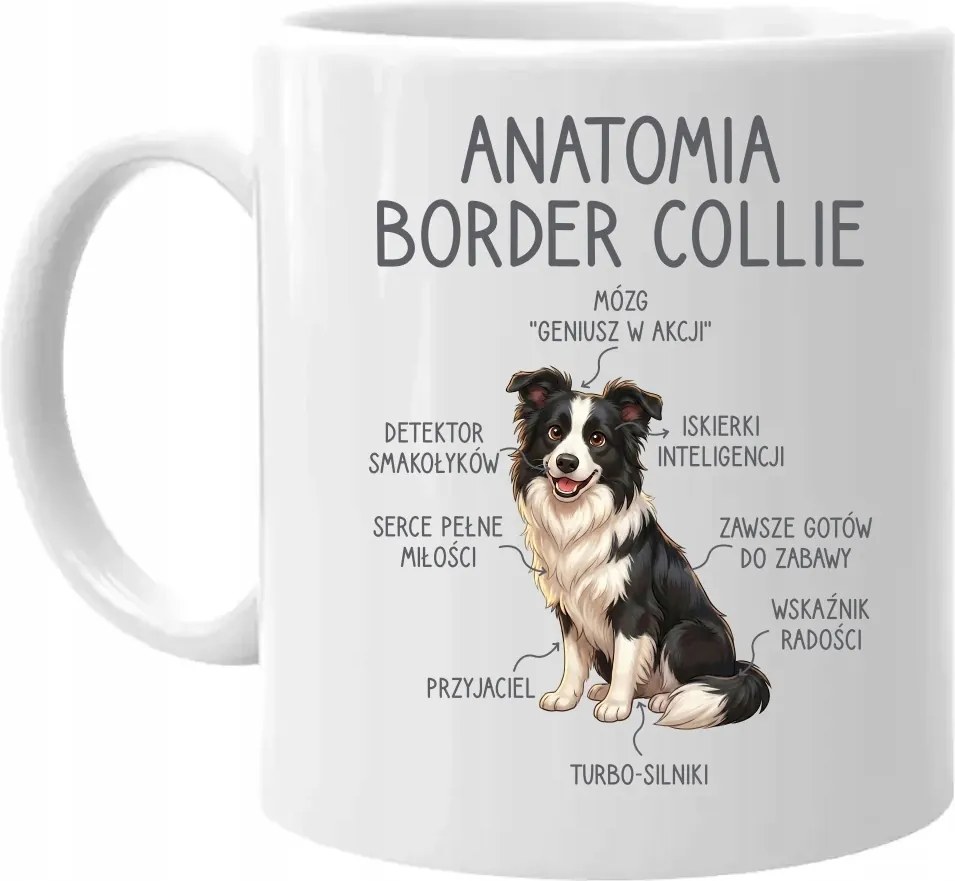 Anatómia border collie Bögre Ajándék Kutyatulajdonosnak