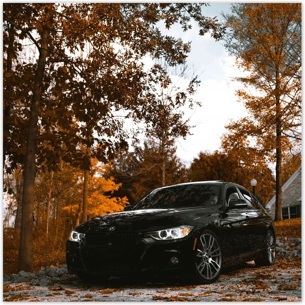 Poszterek 100x100 Fekete Bmw Ősz
