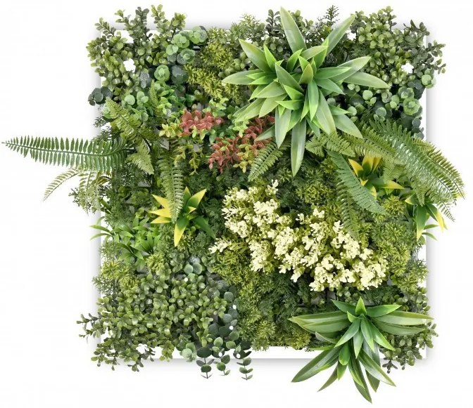 Harmonia III. műanyag zöldfal 63x63 cm