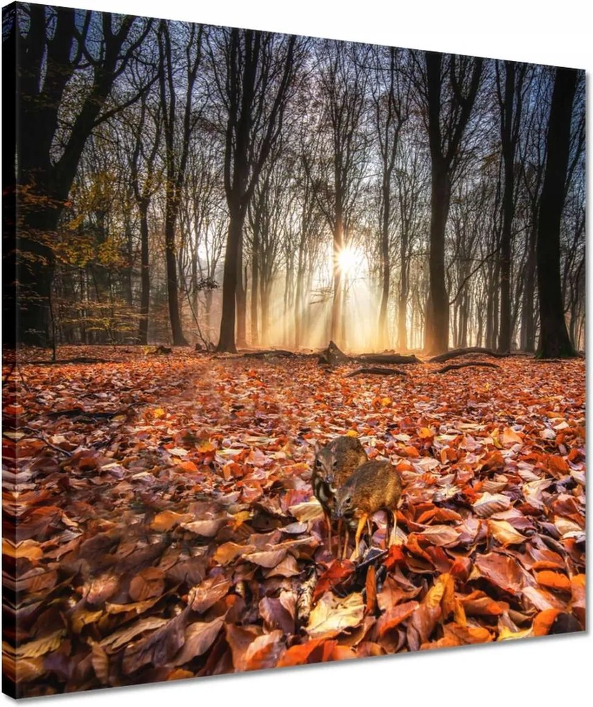 Vászonkép 40x40 Kihalás fenyegeti