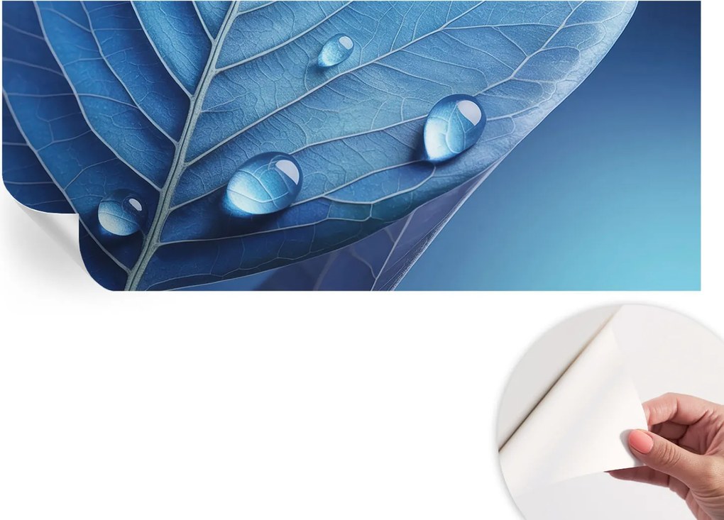 Öntapadós Dekoratív Fotótapéta Hálószobába Kék levél 250x104 cm