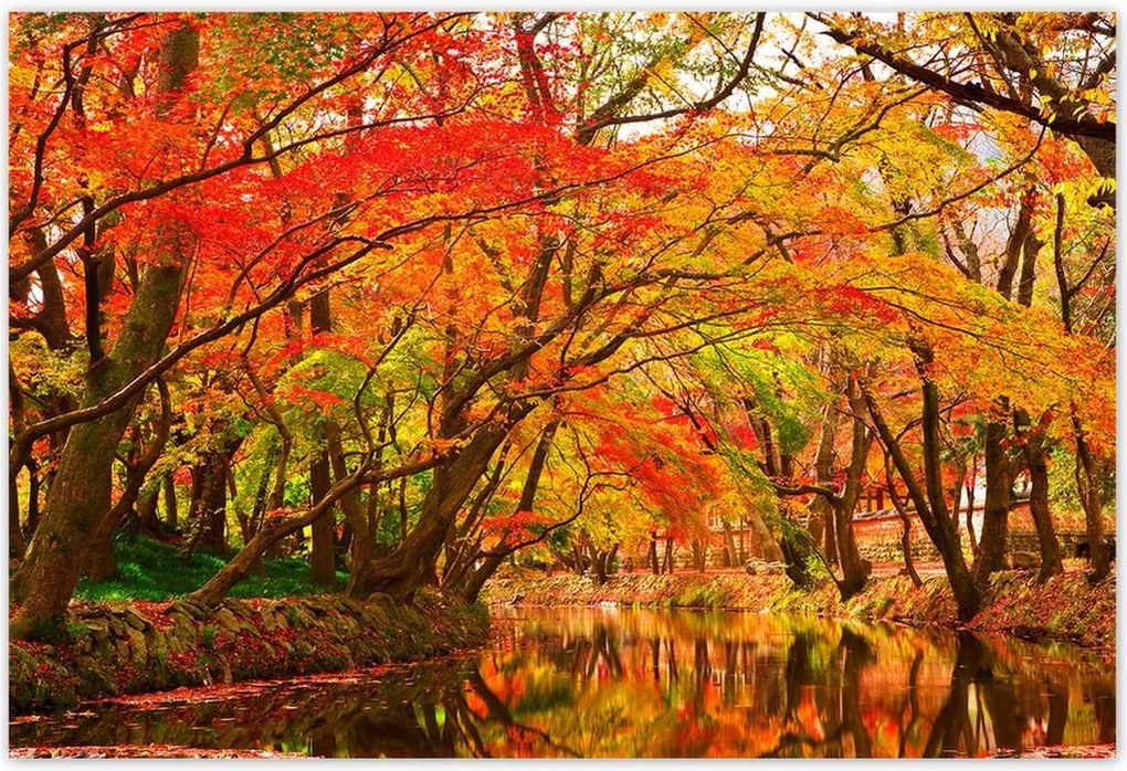 Poszterek 155x105 Őszi tájkép folyóval