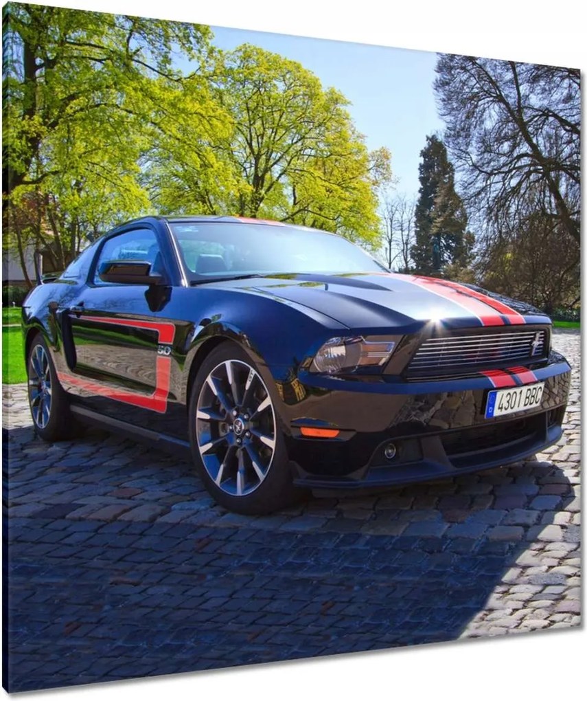 Vászonkép 90x90 Ford Mustang Autó
