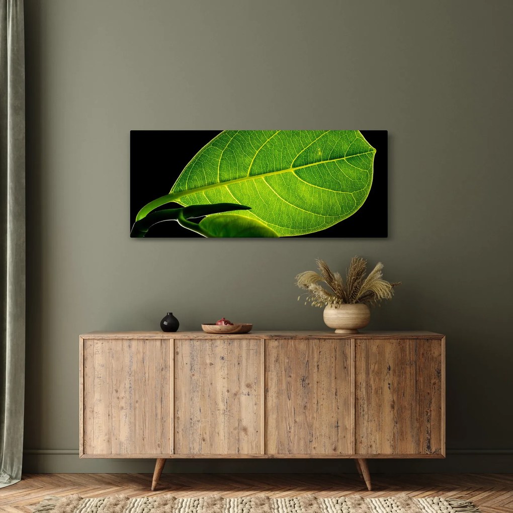Kép - zöld levél (120x50 cm)