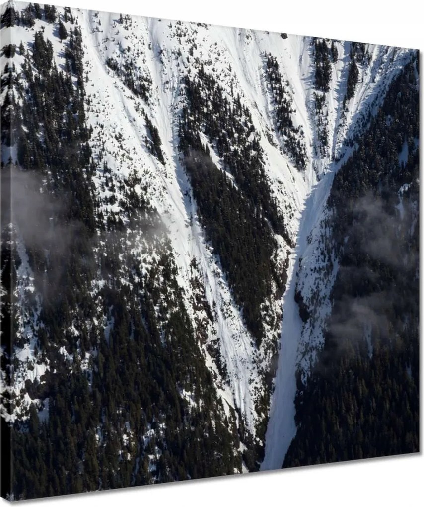 Vászonkép 40x40 Kanadai hegyoldalak