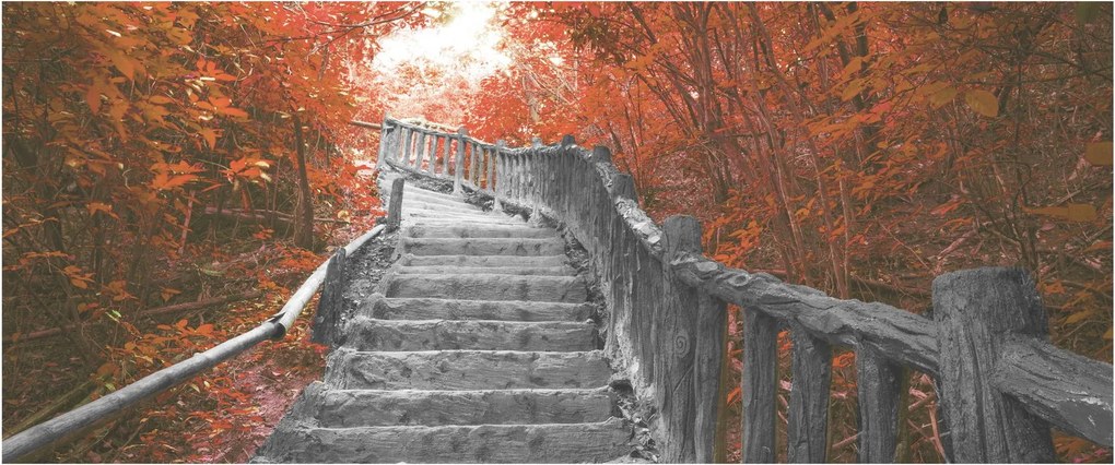 Kép - Lépcsők a természetben, narancssárga (120x50 cm)