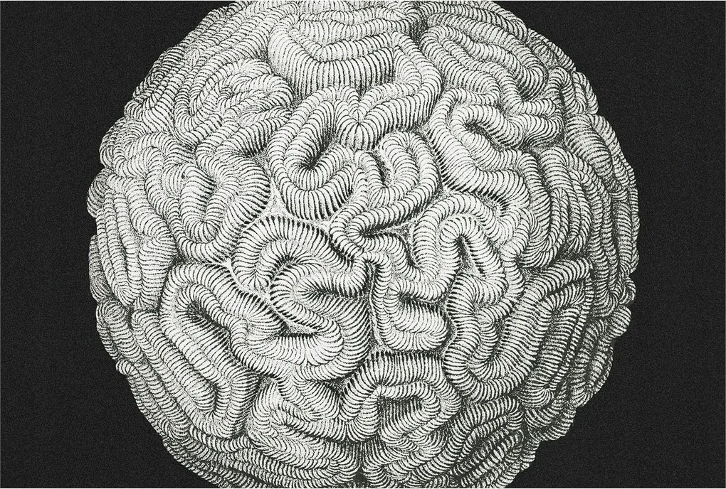 Fali tapéta Prémium gömb alakú szerkezet 104x70 ragasztó