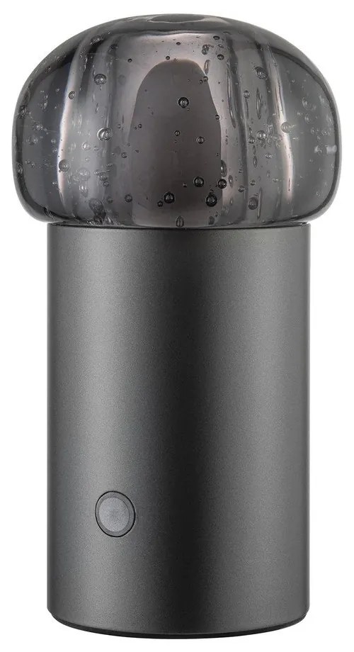 USB hordozható dimmelhető LED kültéri lámpa ø 10 cm Iris – Blomus