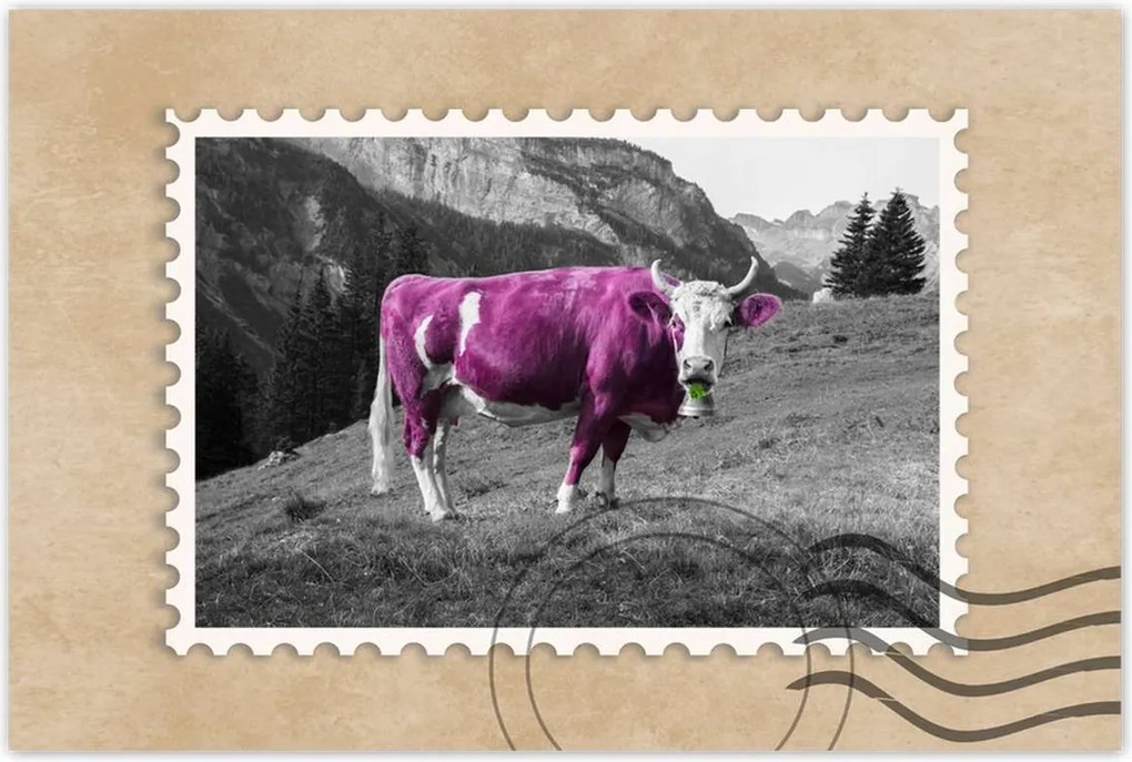 Poszterek 90x60 Lila tehén Emilka