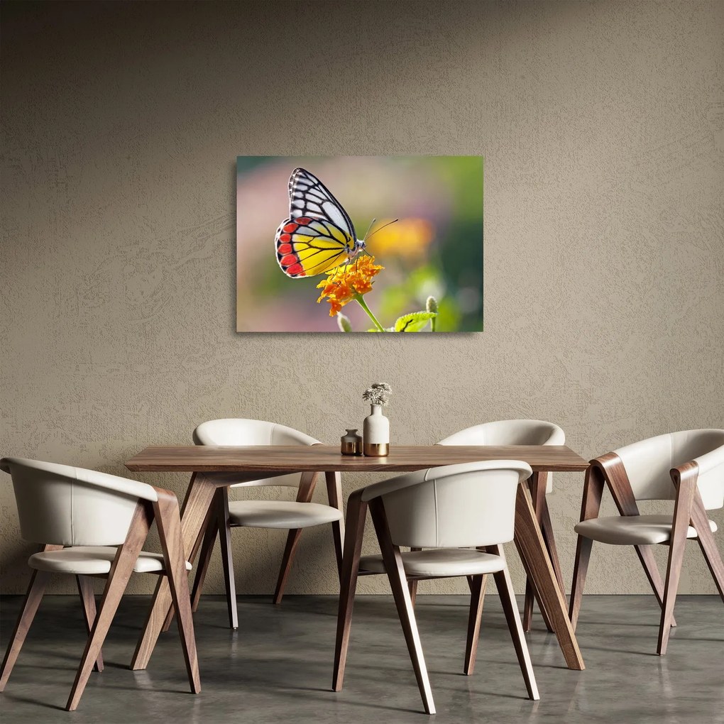 Egy pillangó képe a virágon (üvegen) (70x50 cm)